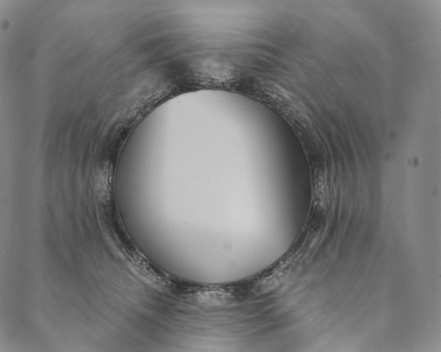 X0000089970468200707131427