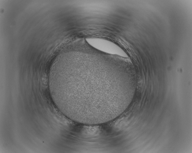 X0000089970469200707131427