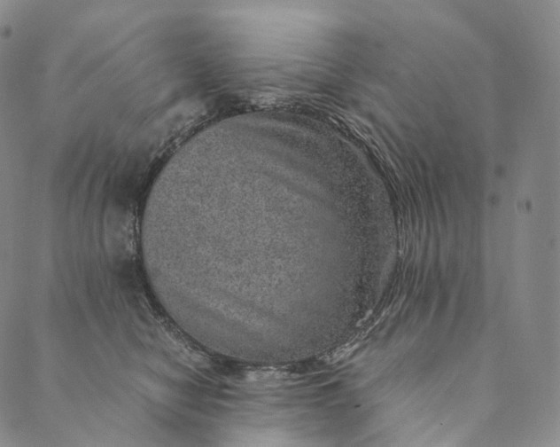 X0000089970470200707131427