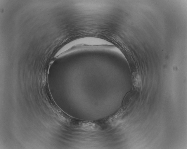 X0000089970471200707131427