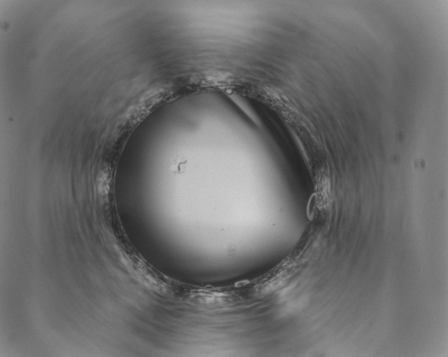 X0000089970472200707131427