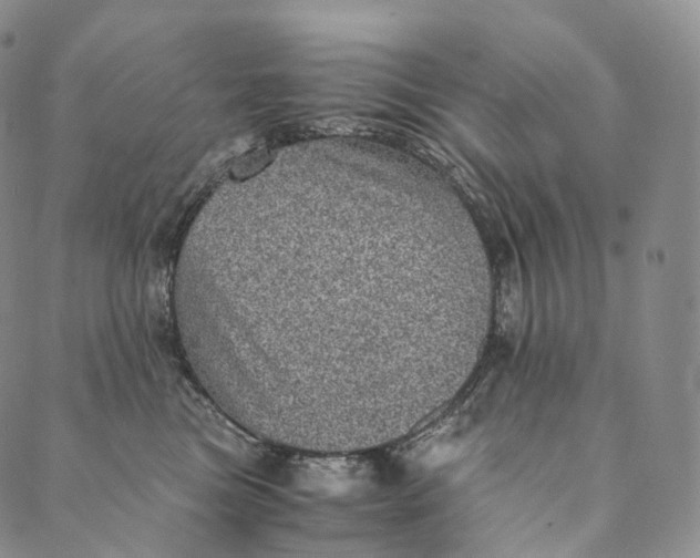 X0000089970473200707131427