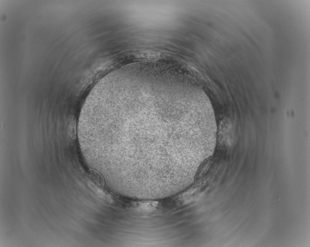 X0000089970474200707131427