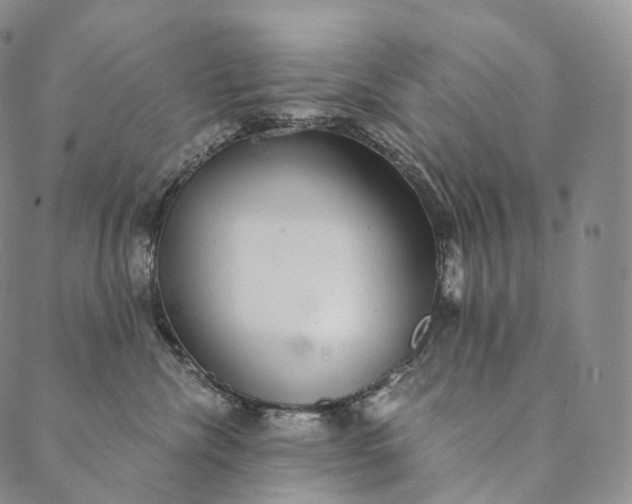 X0000089970476200707131427