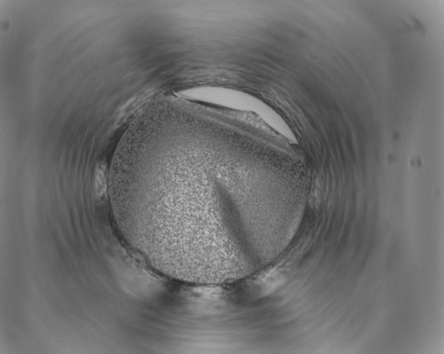 X0000089970478200707131427