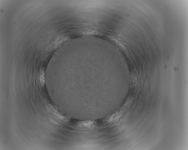 X0000089970479200707131427