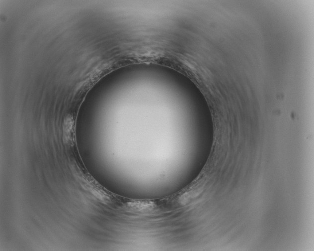 X0000089970480200707131427