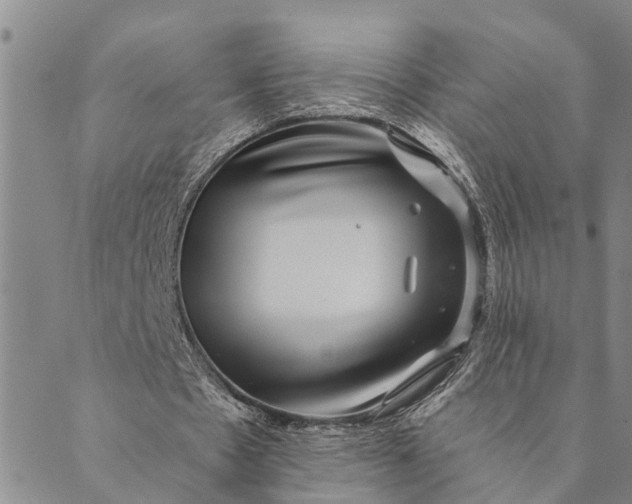 X0000089970481200707131426