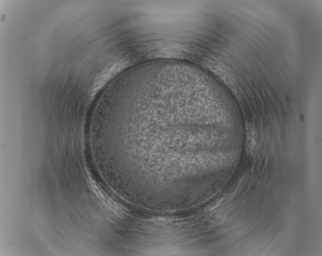 X0000089970482200707131426