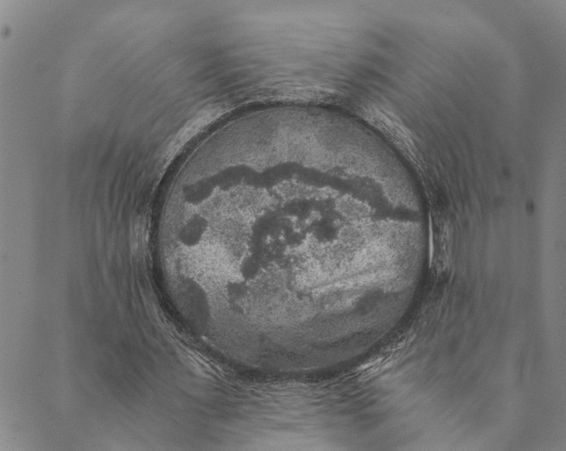 X0000089970483200707131426