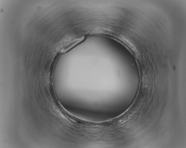 X0000089970485200707131426