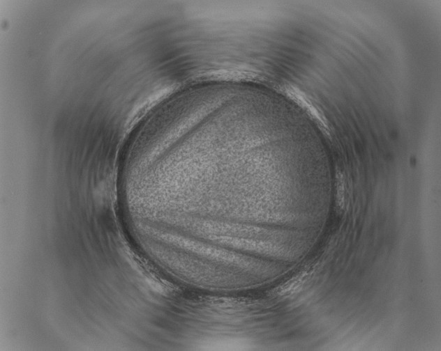 X0000089970486200707131426