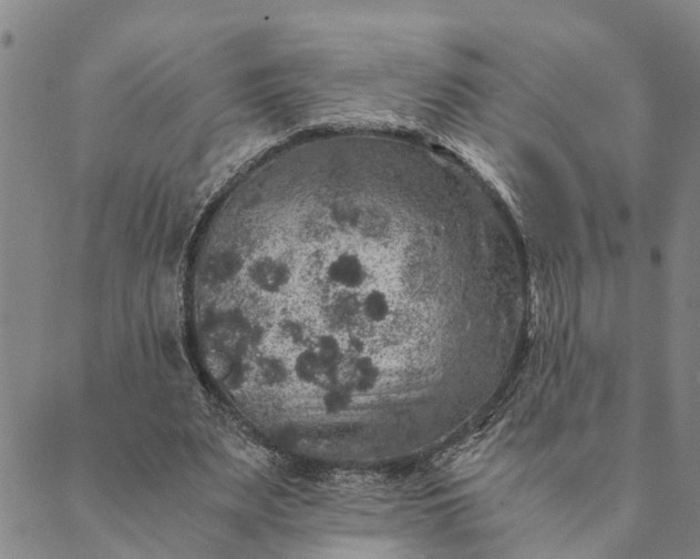 X0000089970487200707131426