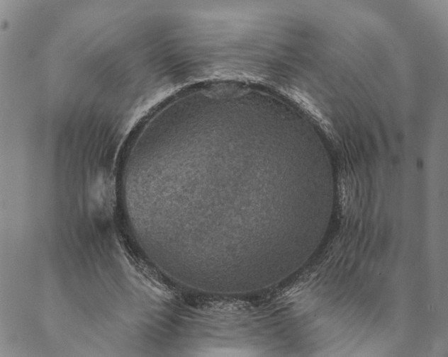 X0000089970488200707131426