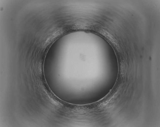 X0000089970489200707131426