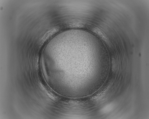 X0000089970490200707131426