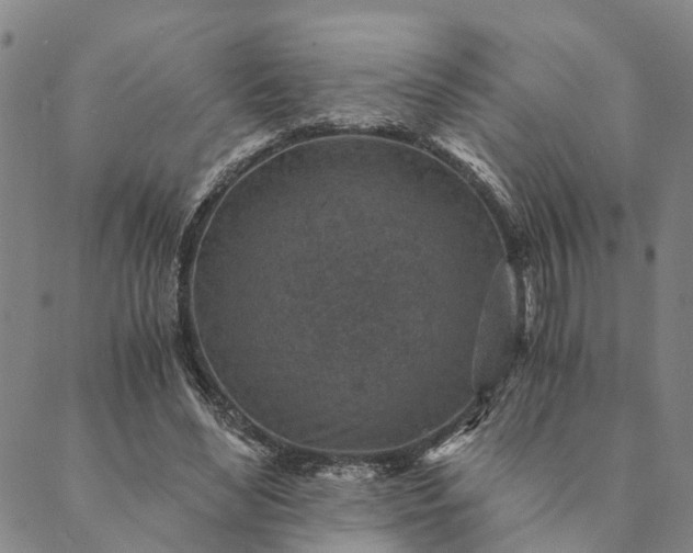 X0000089970492200707131426