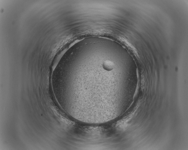 X0000089970493200707131426