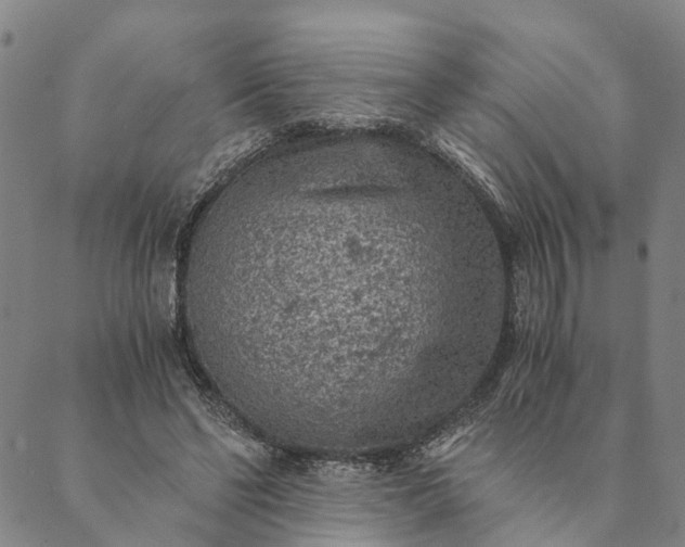 X0000089970494200707131426