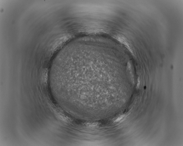 X0000089970495200707131426