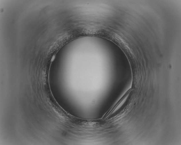 X0000089970497200707131426