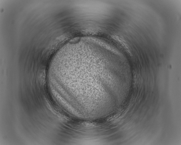 X0000089970498200707131426