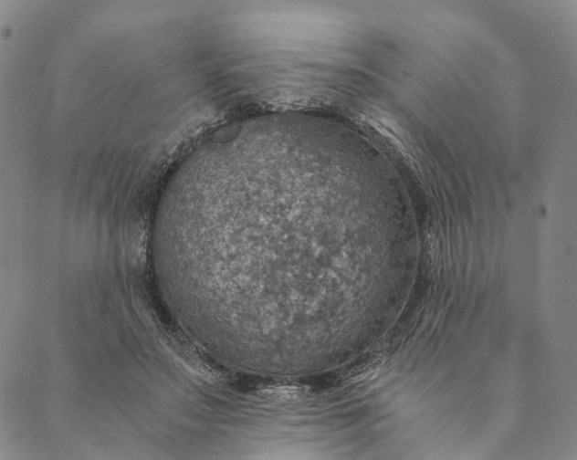 X0000089970499200707131426