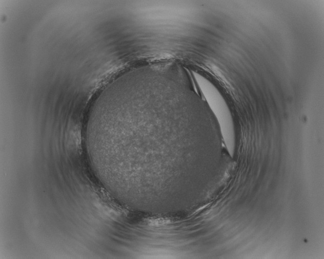 X0000089970500200707131426