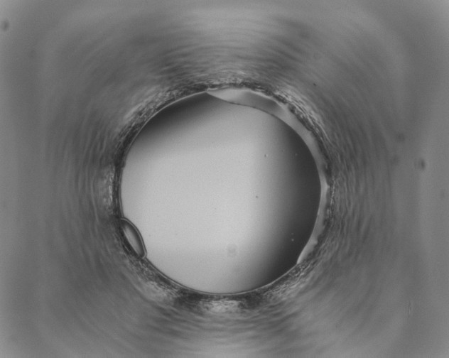 X0000089970501200707131426