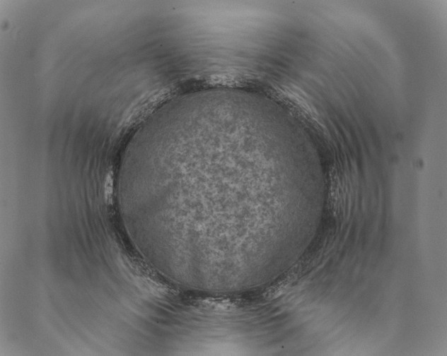 X0000089970502200707131426