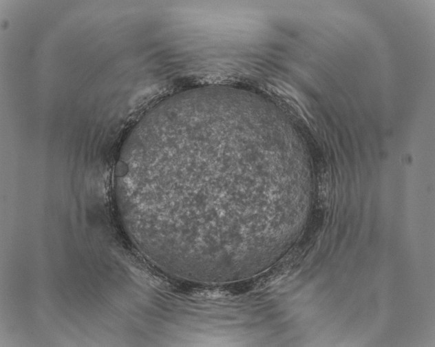 X0000089970503200707131426