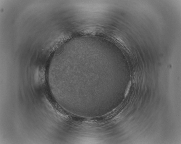 X0000089970504200707131426