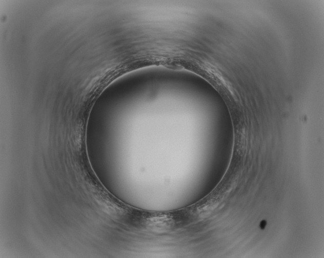 X0000089970505200707131426