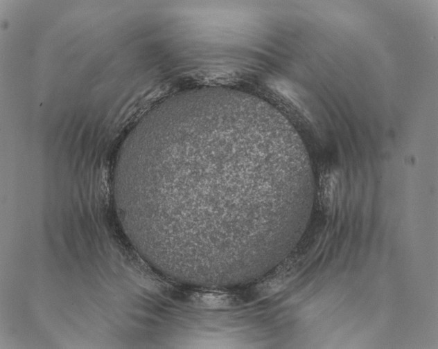 X0000089970506200707131426