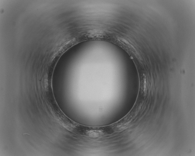 X0000089970508200707131426