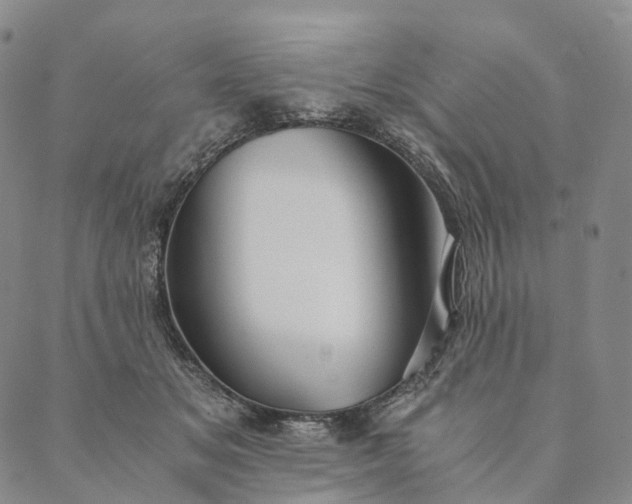 X0000089970509200707131426