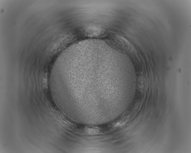 X0000089970510200707131426