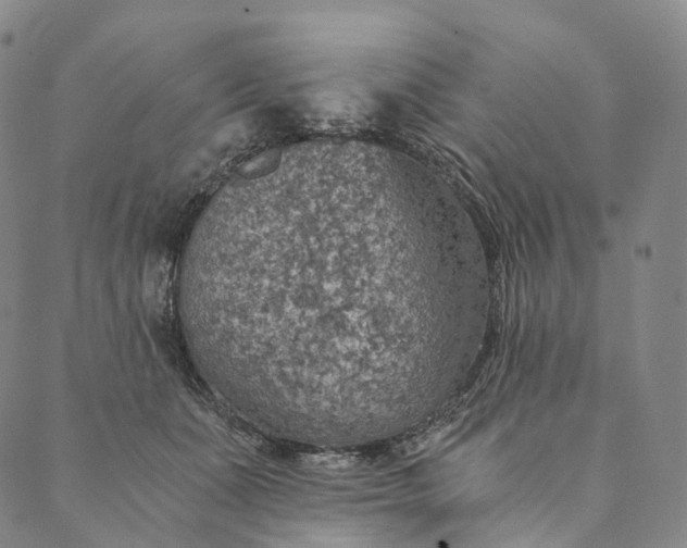 X0000089970511200707131426