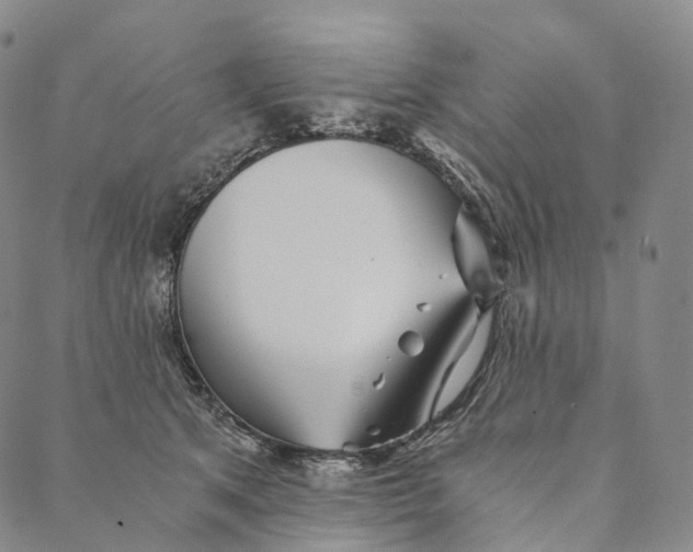 X0000089970513200707131426