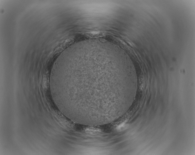 X0000089970515200707131426