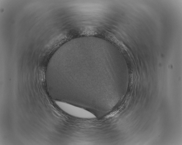 X0000089970517200707131426