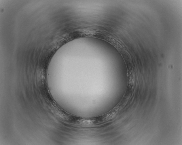 X0000089970518200707131426