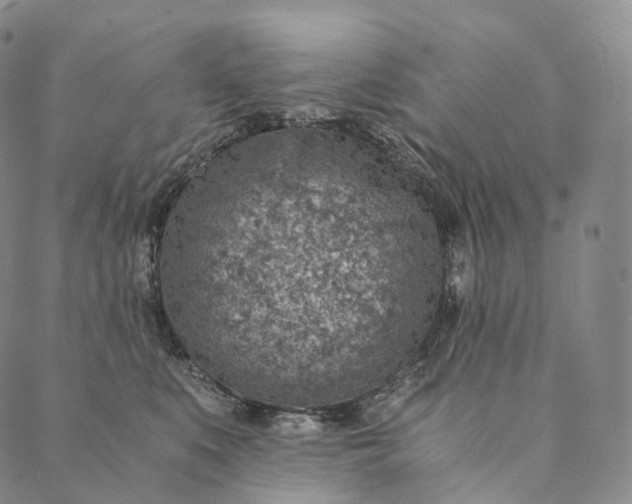 X0000089970519200707131426