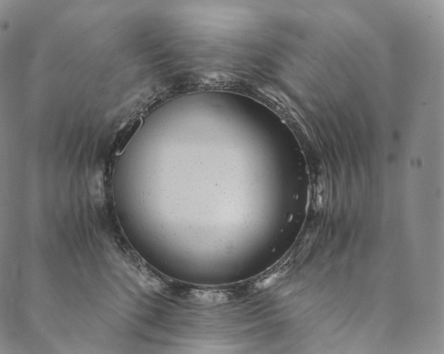 X0000089970520200707131426