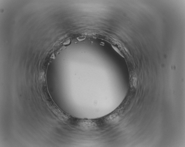 X0000089970521200707131426