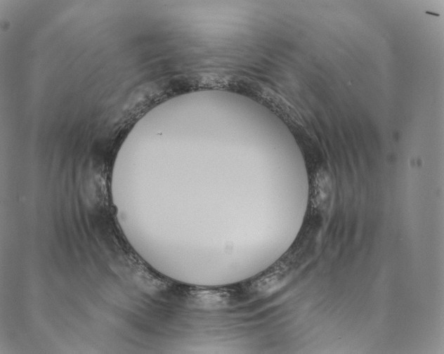 X0000089970522200707131426