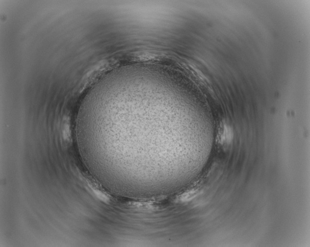 X0000089970524200707131426