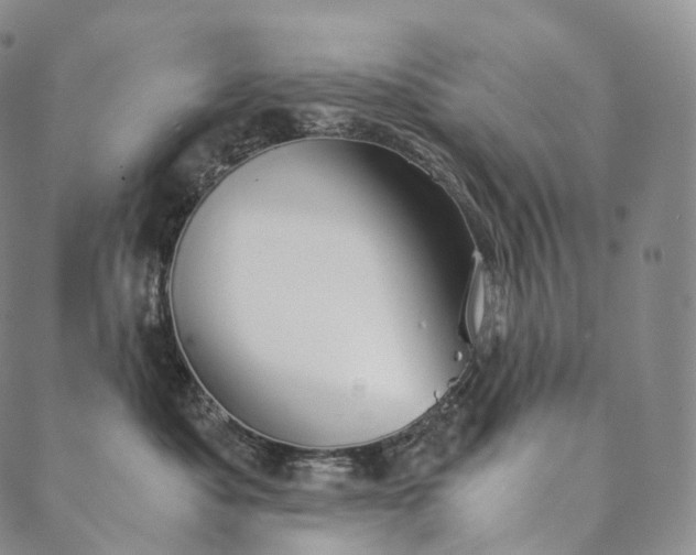 X0000089970525200707131426