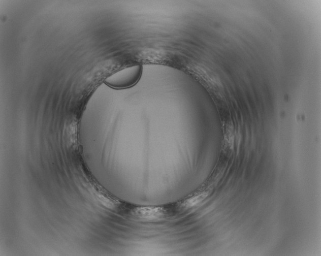 X0000089970526200707131426