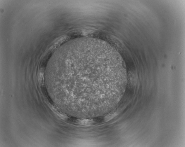 X0000089970527200707131426